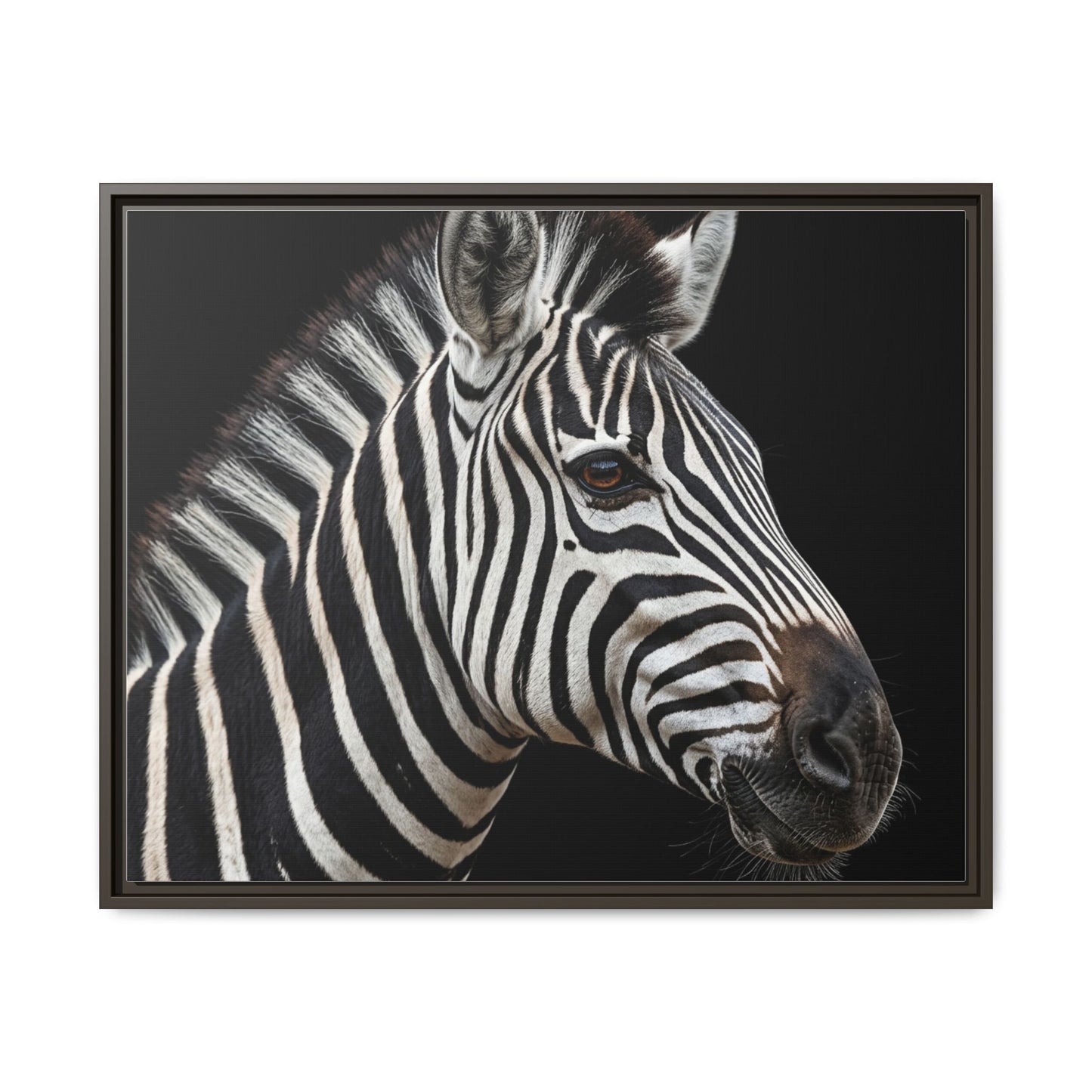 Framed Canvas Print — Zebra In Colour