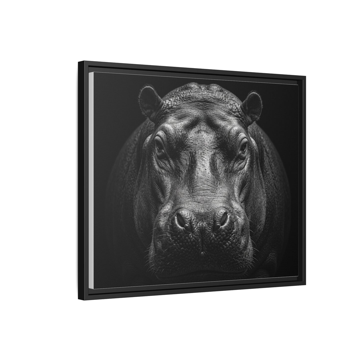 Framed Canvas Print — Hippopotamus In Black