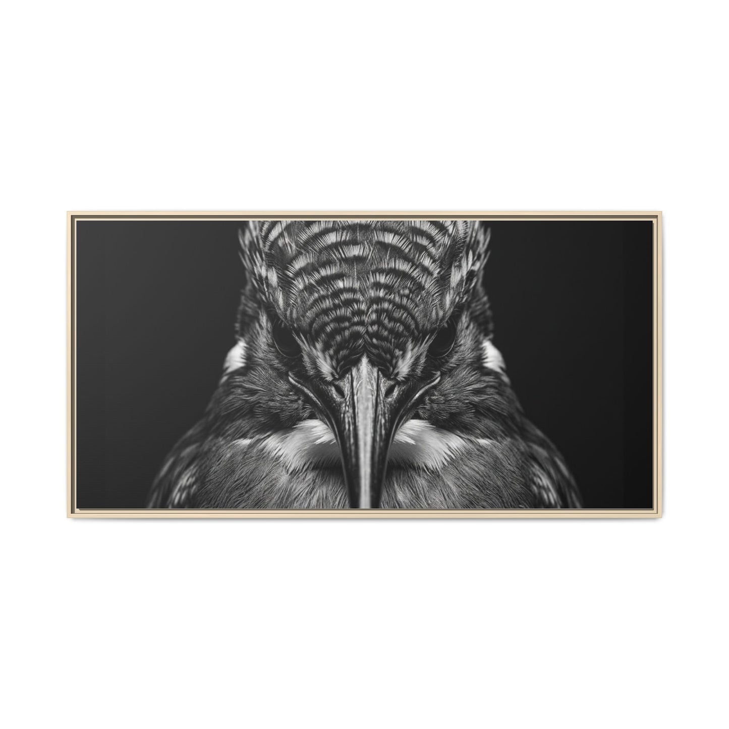 Framed Canvas Print — Malachite Kingfisher In Black