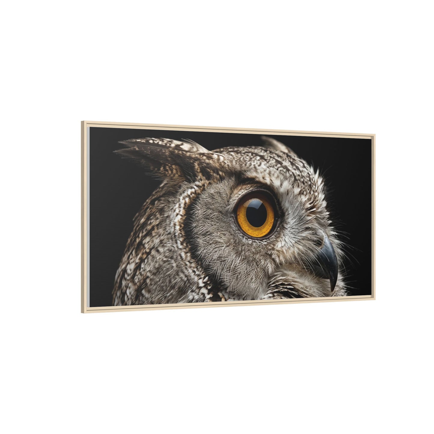 Framed Canvas Print — Scops Owl In Colour