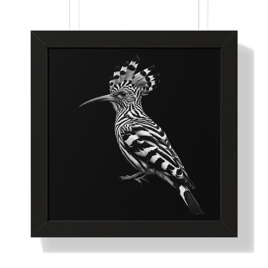 Framed Art Print – Afrikan Hoopoe In Black
