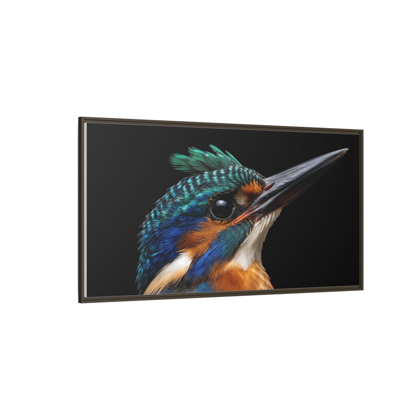 Framed Canvas Print — Malachite Kingfisher In Colour