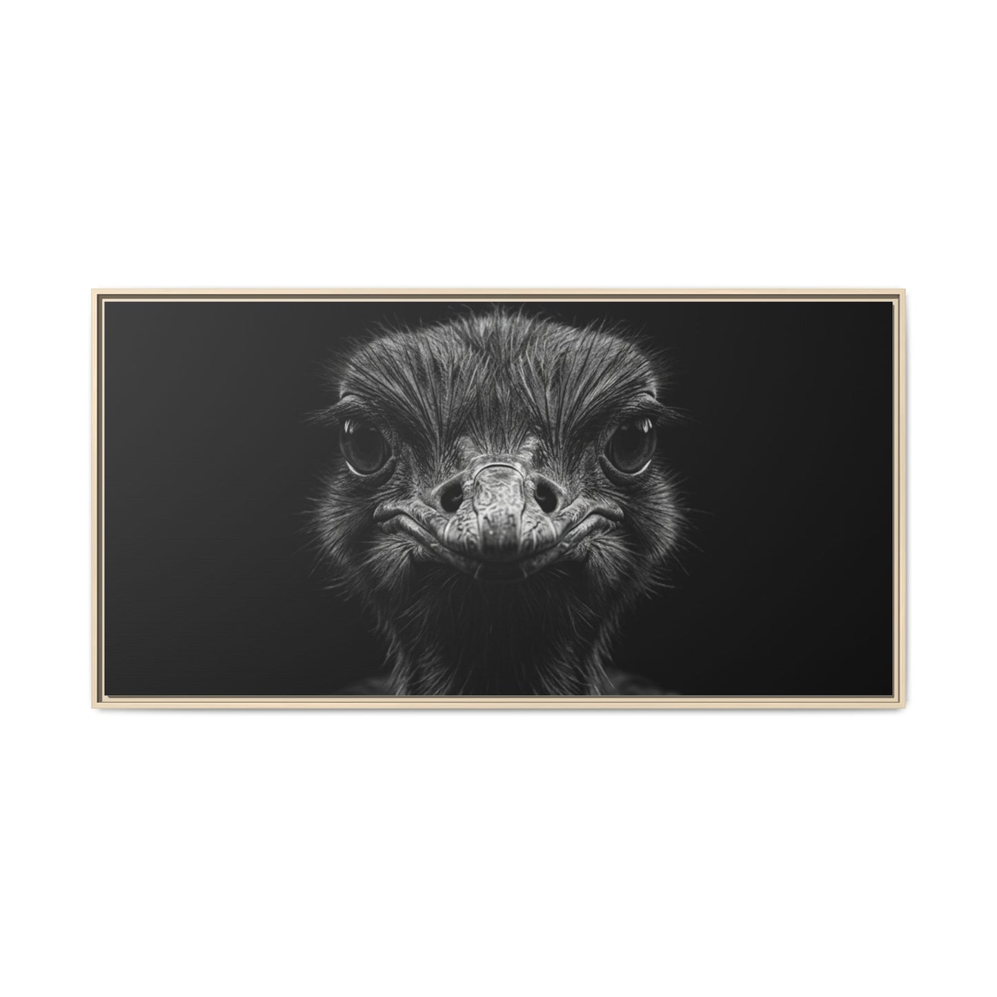 Framed Canvas Print — Ostrich In Black