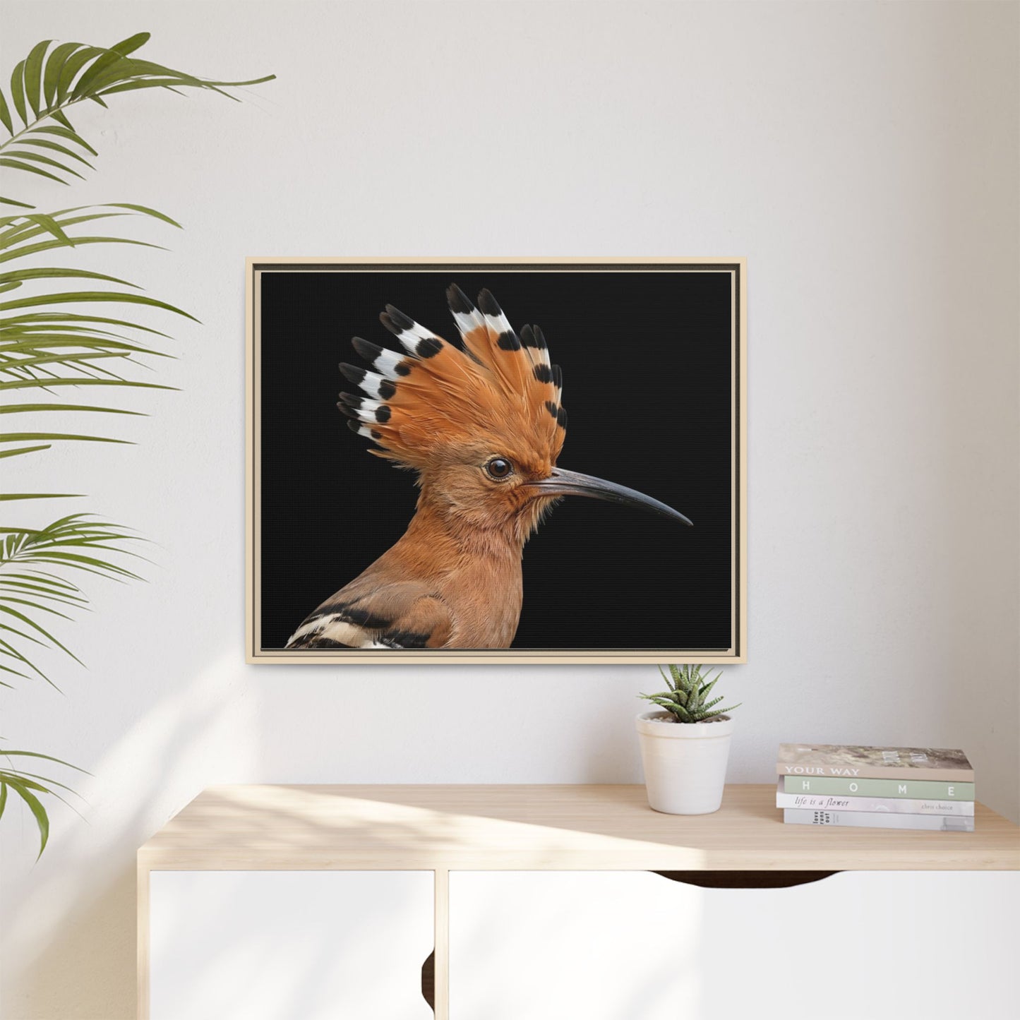Framed Canvas Print — Afrikan Hoopoe In Colour