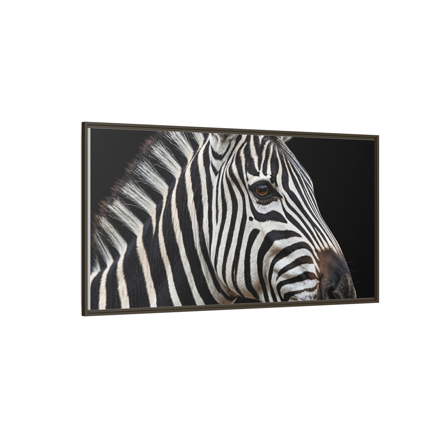 Framed Canvas Print — Zebra In Colour