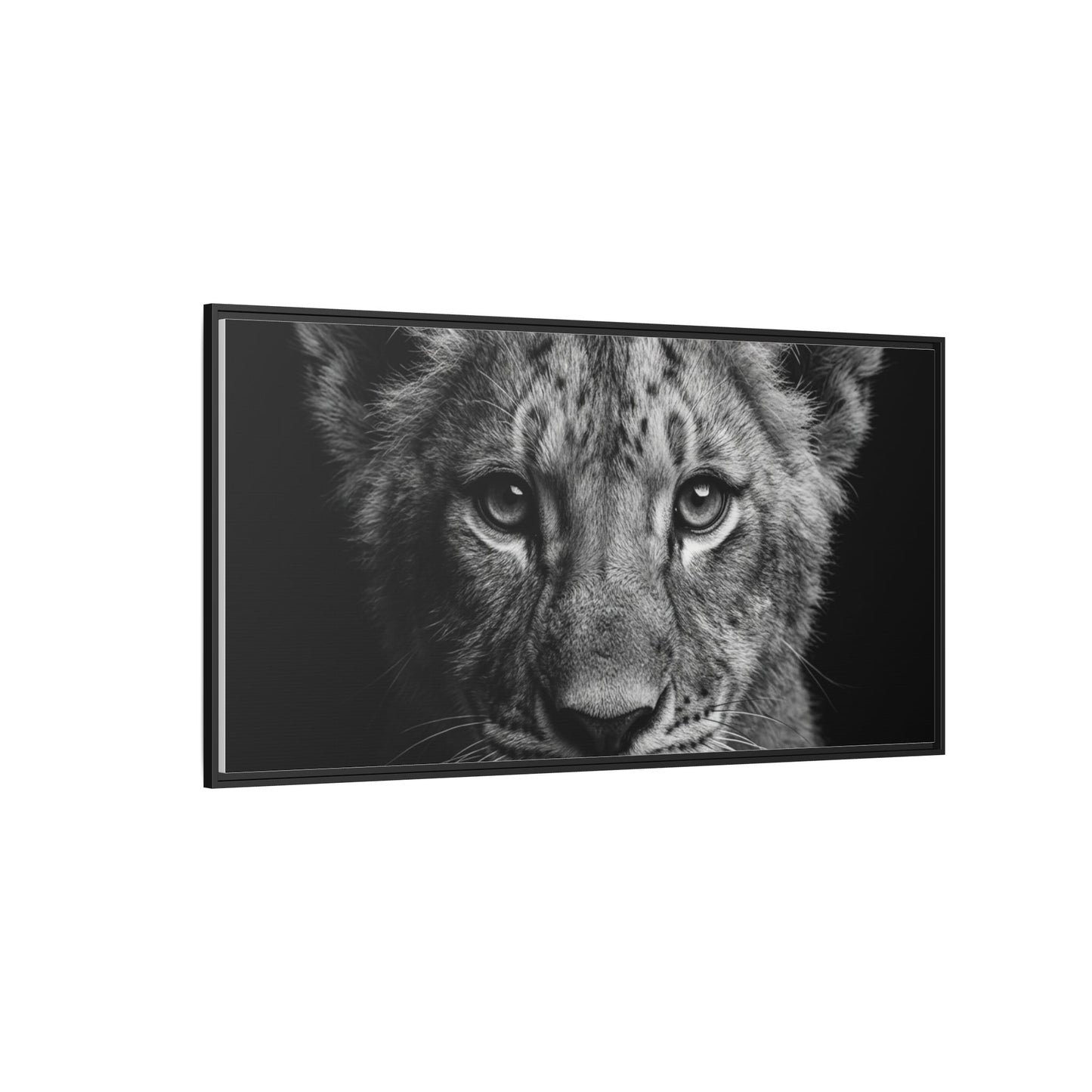 Framed Canvas Print — Lion Cub In Black