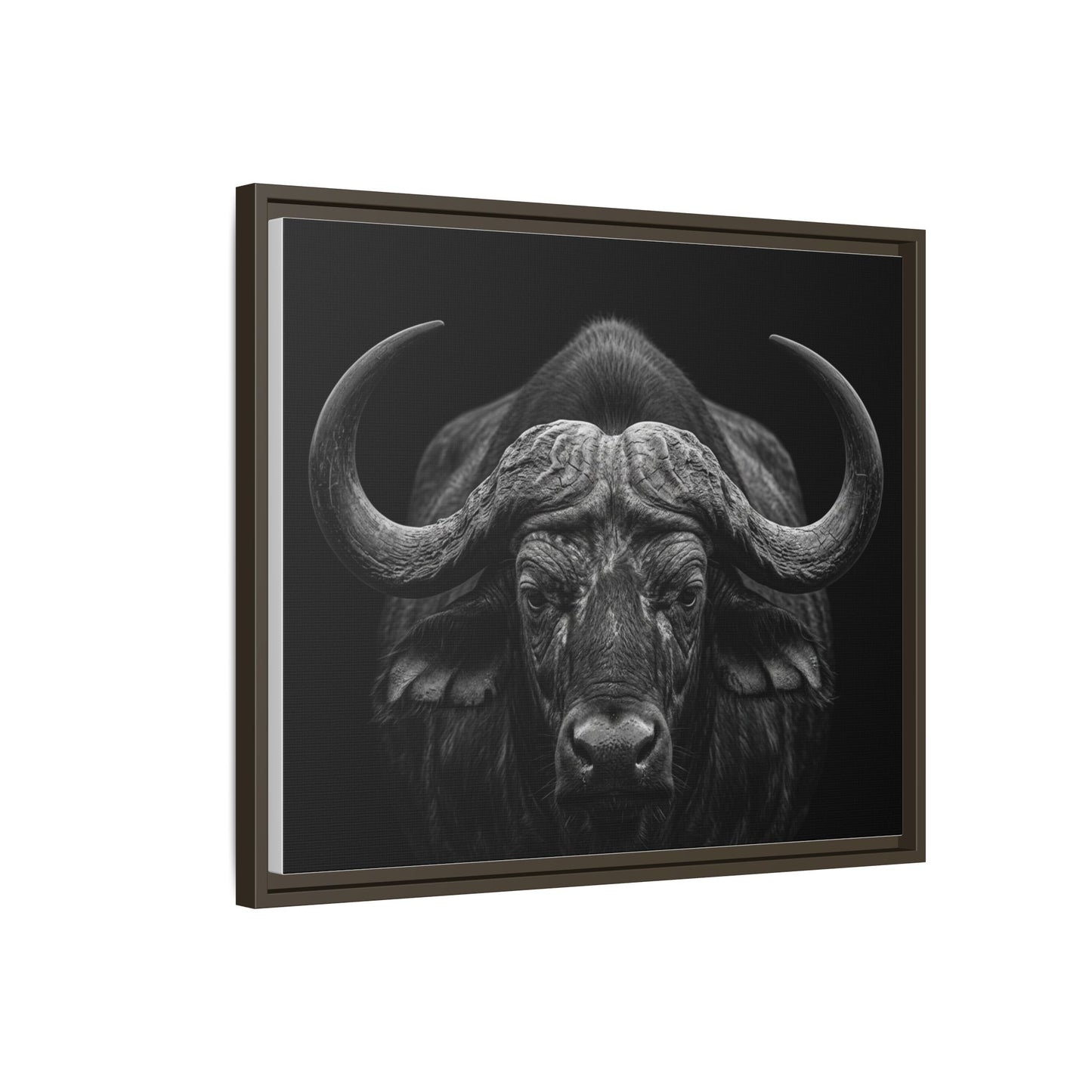 Framed Canvas Print — Cape Buffalo In Black