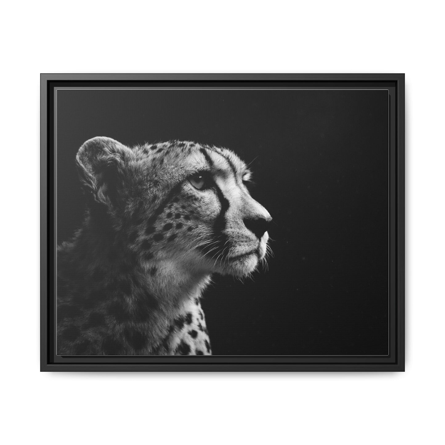 Framed Canvas Print — Cheetah Gaze