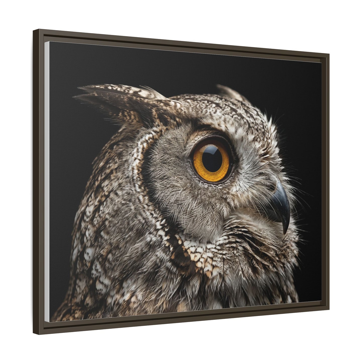 Framed Canvas Print — Scops Owl In Colour