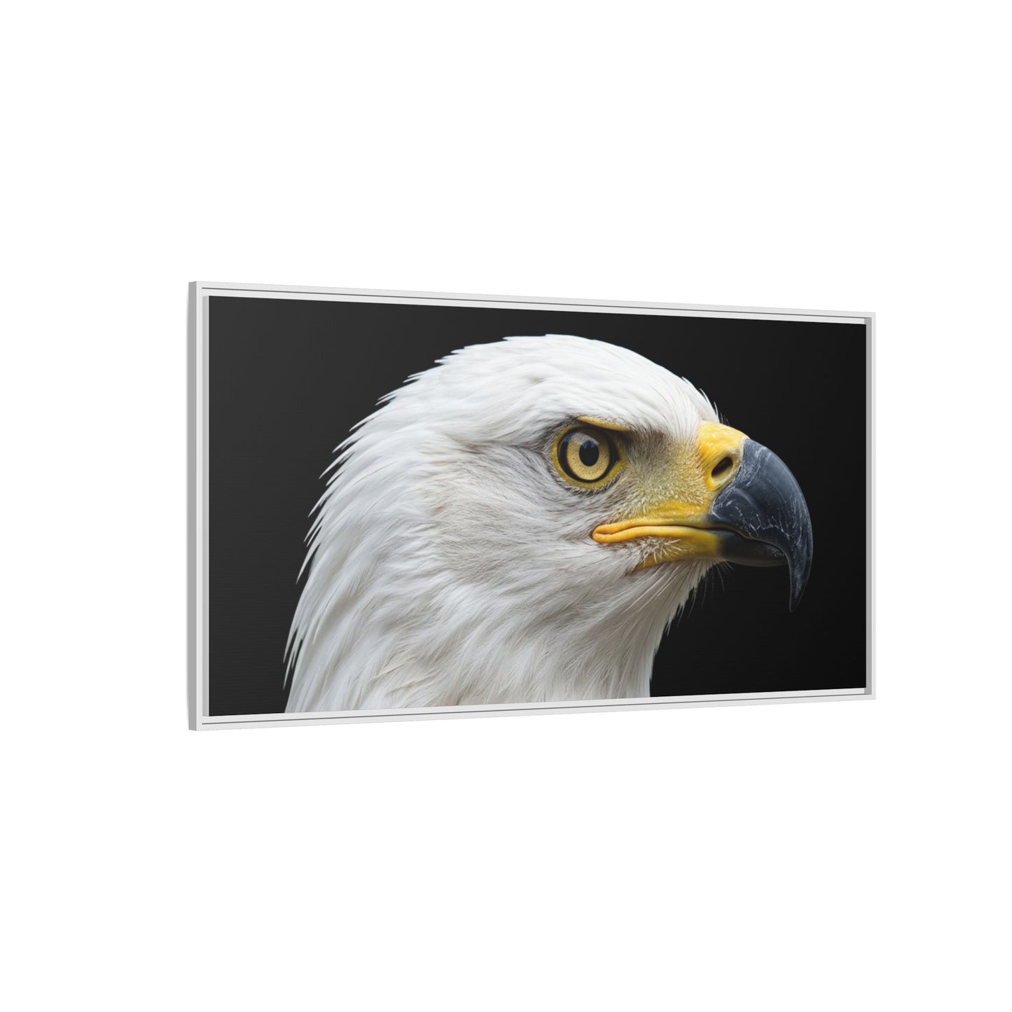 Framed Canvas Print — Fish Eagle In Colour