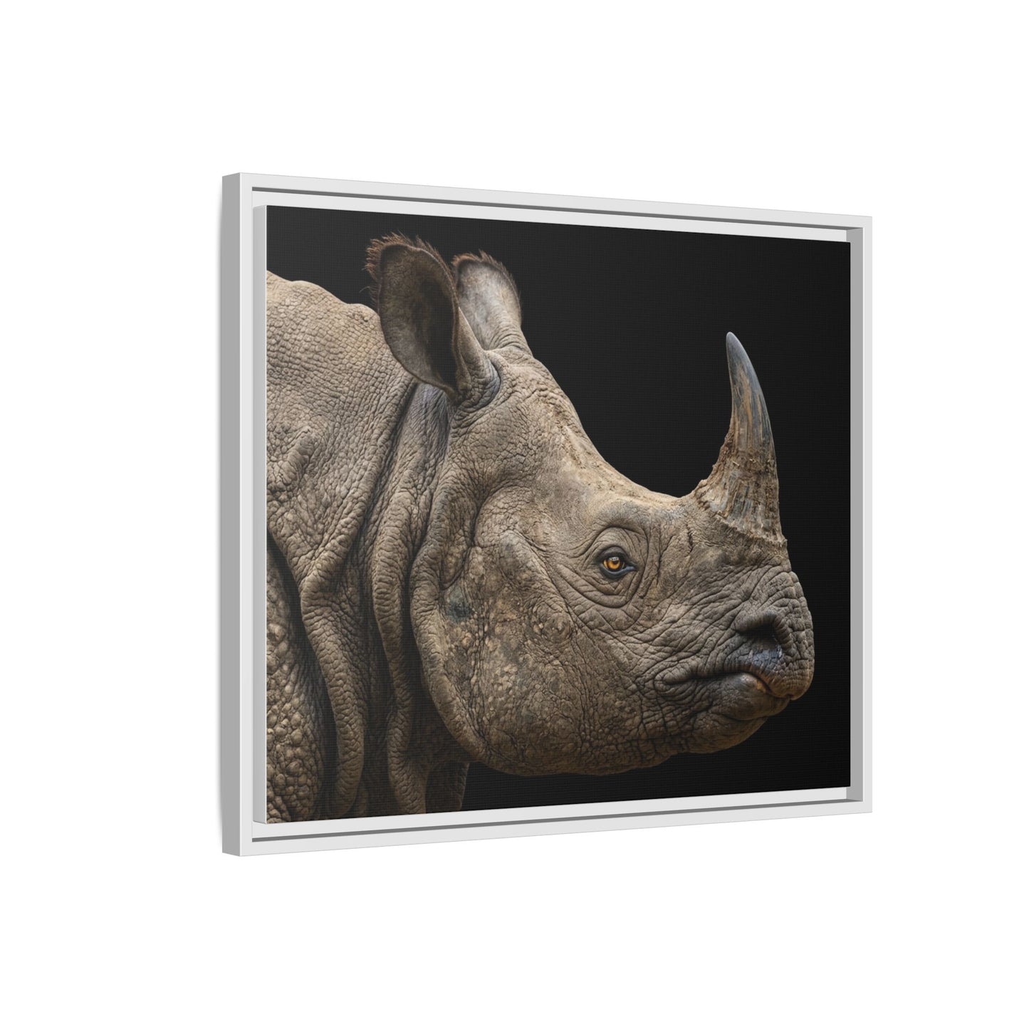 Framed Canvas Print — Rhinoceros In Colour