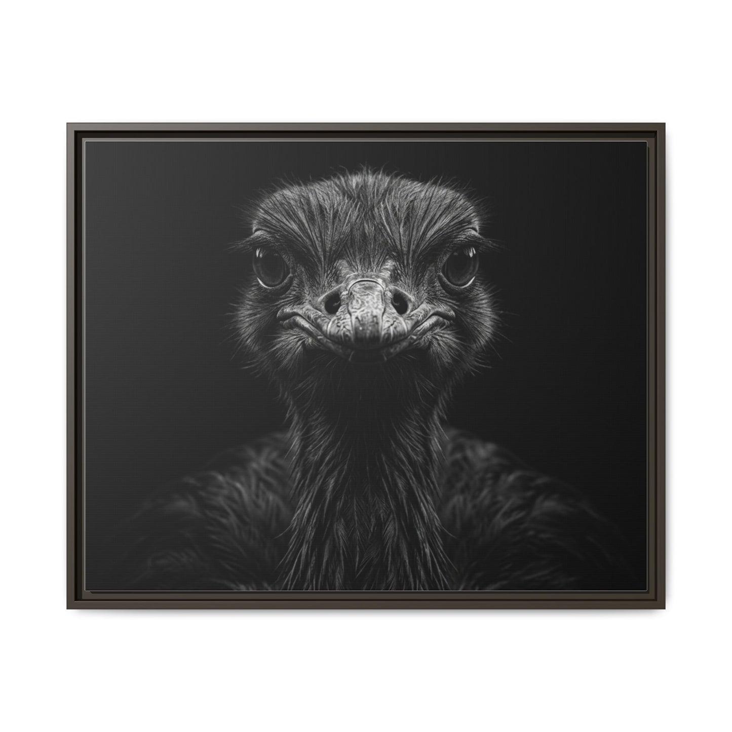 Framed Canvas Print — Ostrich In Black