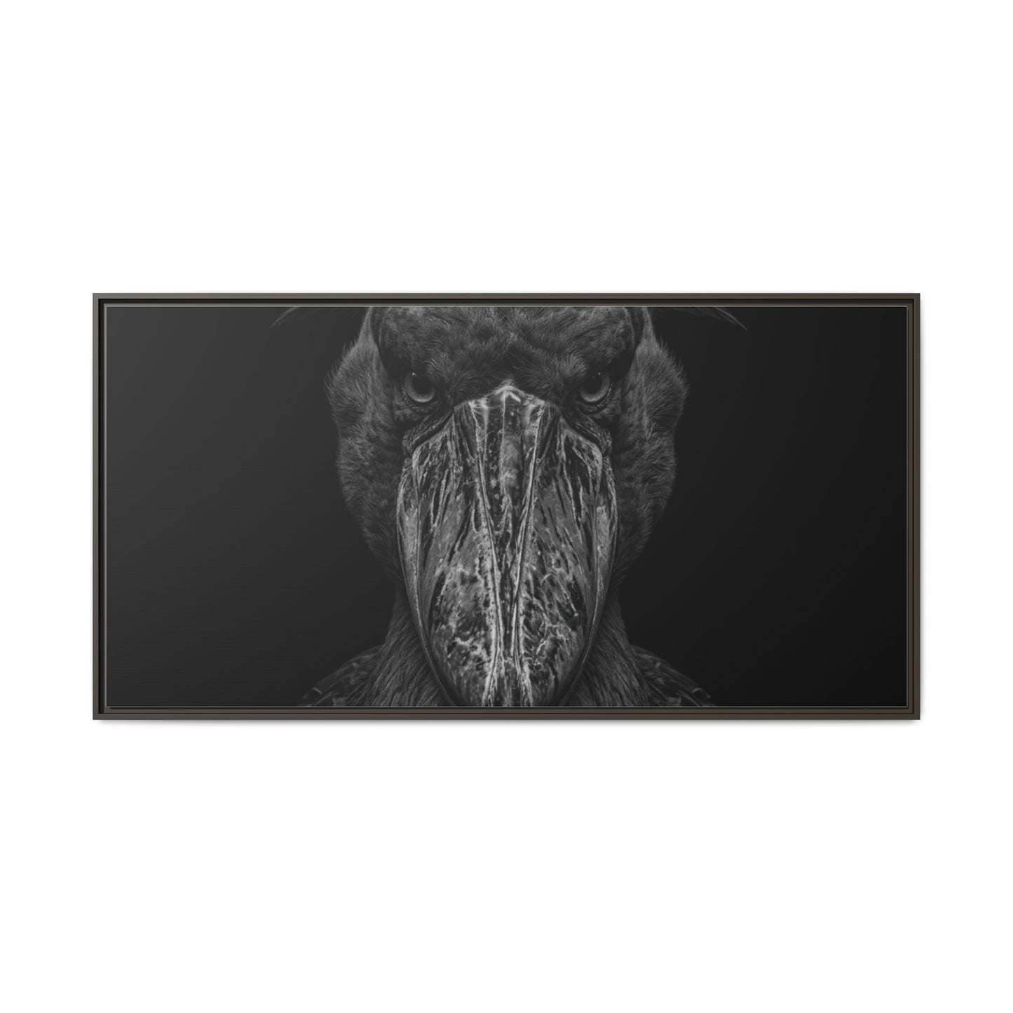 Framed Canvas Print — Shoebill Stock In Black