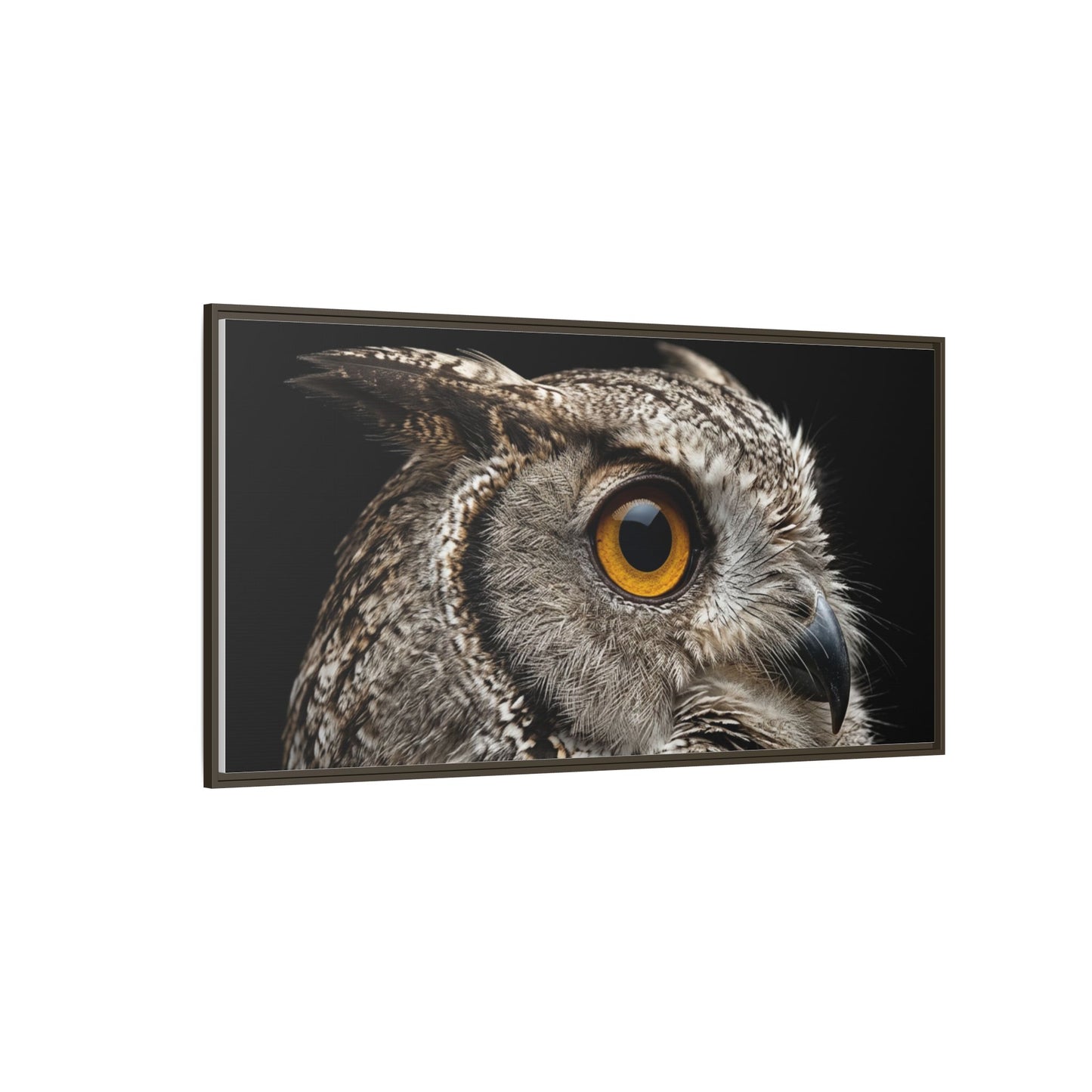 Framed Canvas Print — Scops Owl In Colour