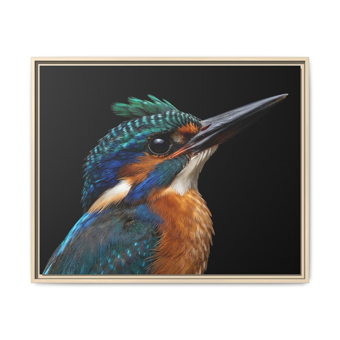 Framed Canvas Print — Malachite Kingfisher In Colour
