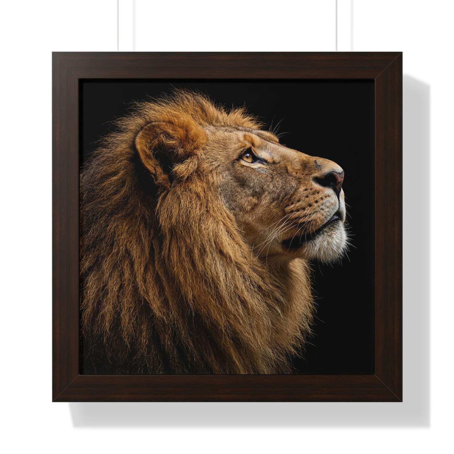 Framed Art Print – Lion In Colour