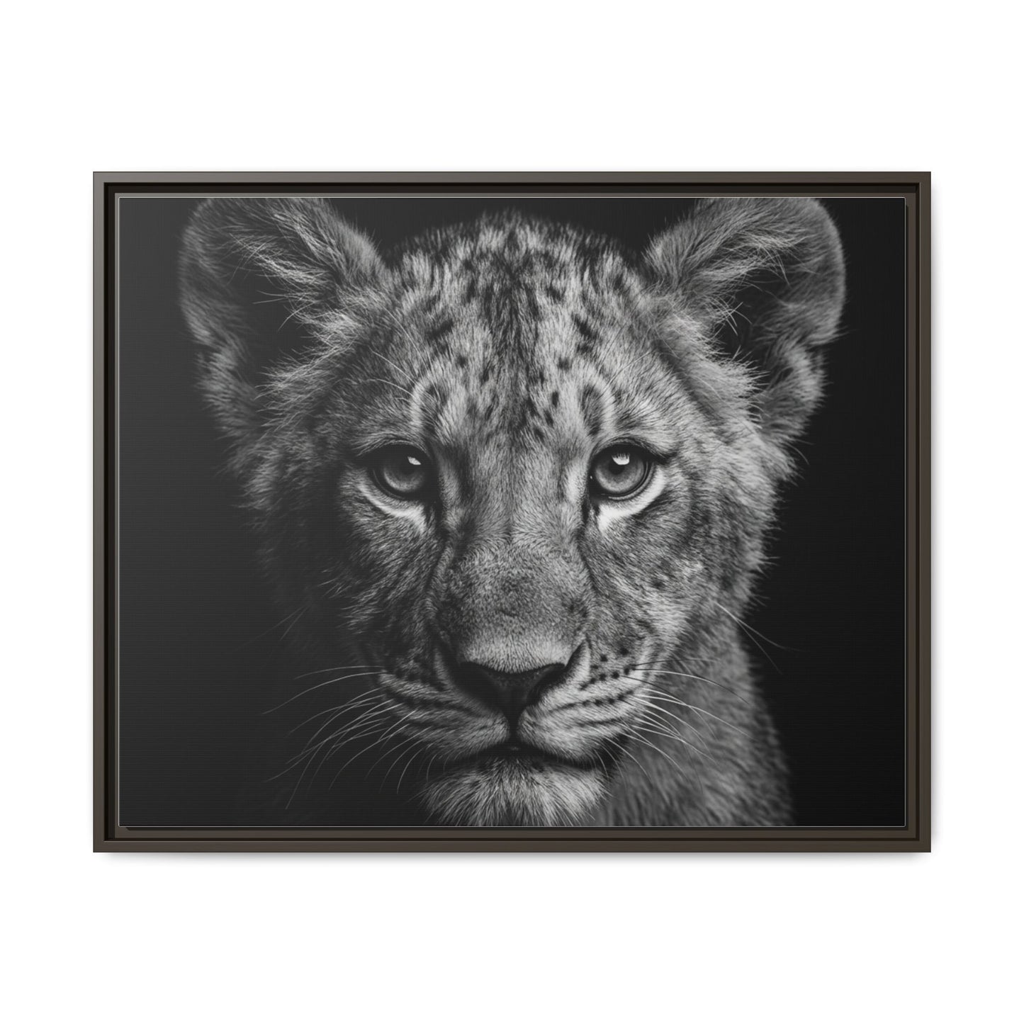 Framed Canvas Print — Lion Cub In Black