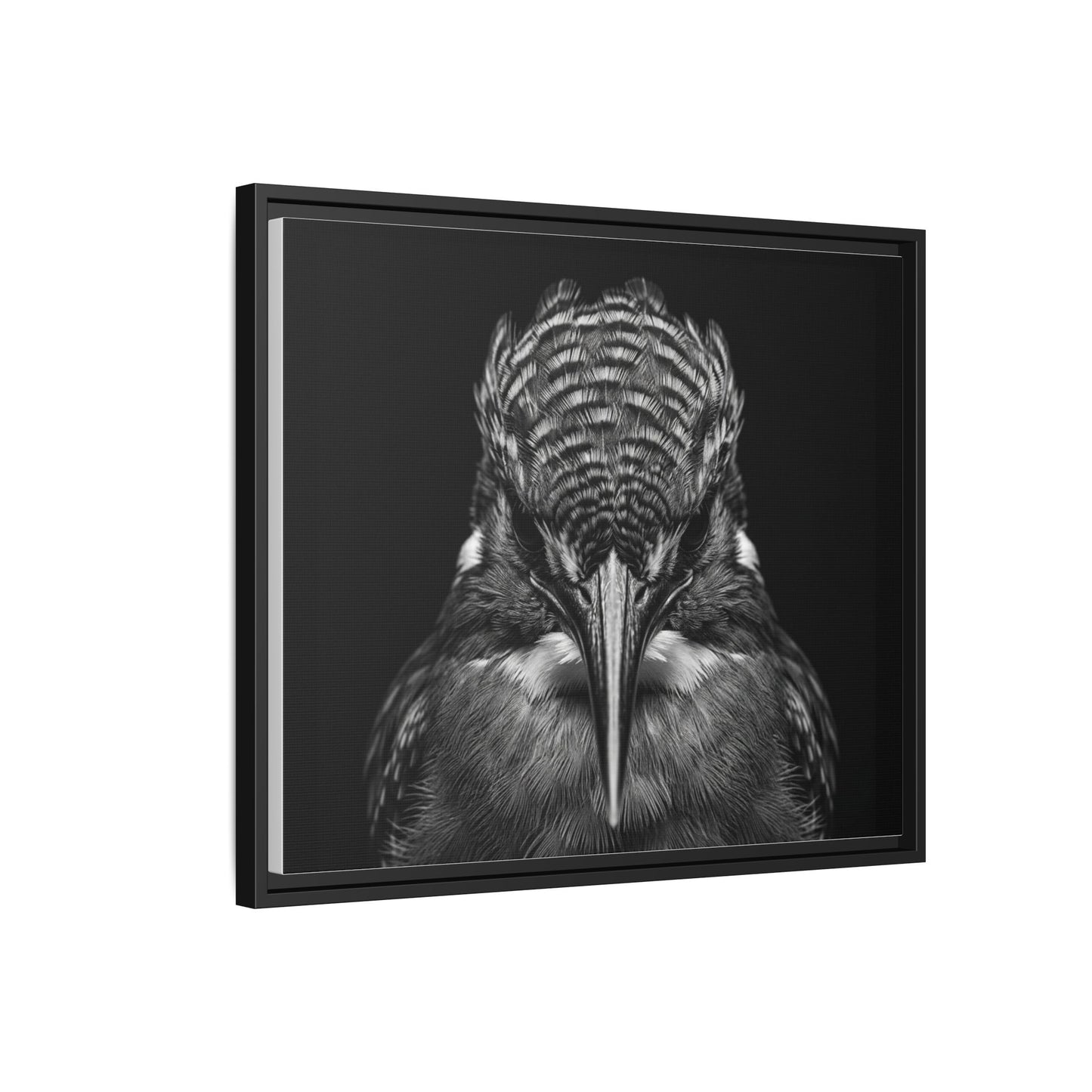 Framed Canvas Print — Malachite Kingfisher In Black