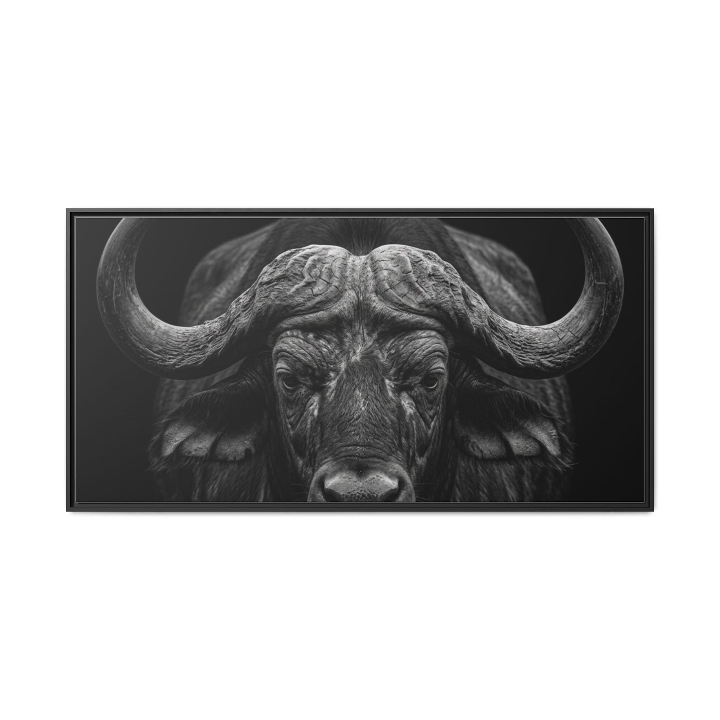 Framed Canvas Print — Cape Buffalo In Black