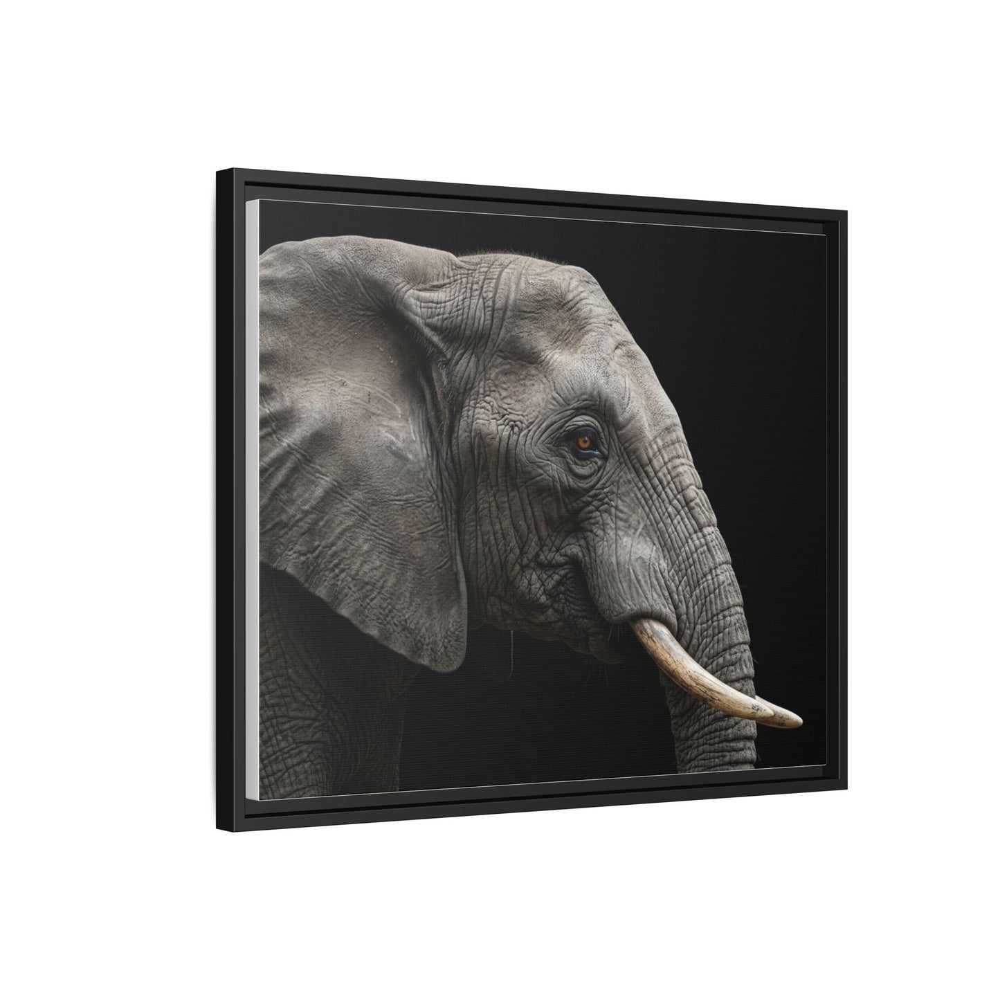 Framed Canvas Print — Elephant In Colour