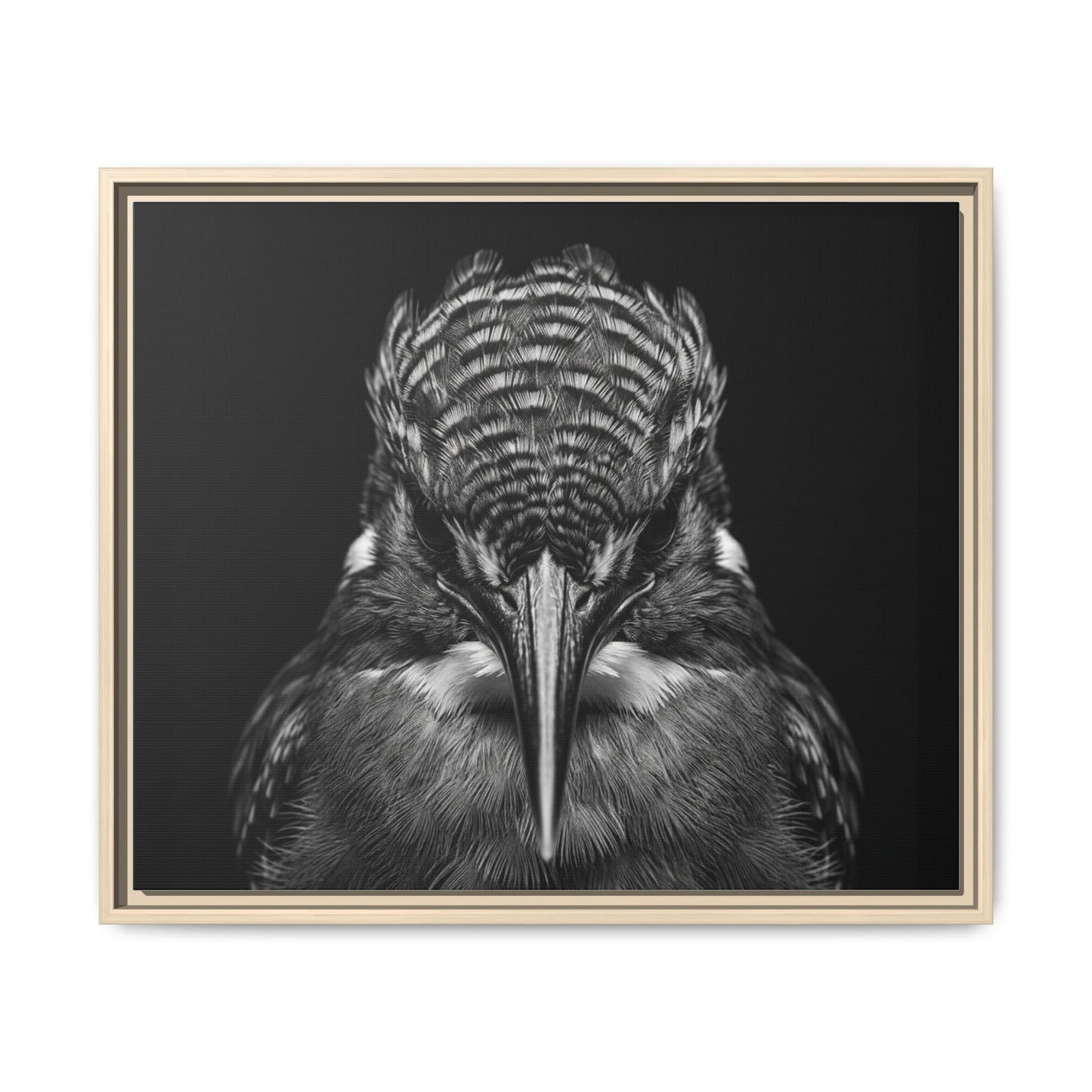 Framed Canvas Print — Malachite Kingfisher In Black