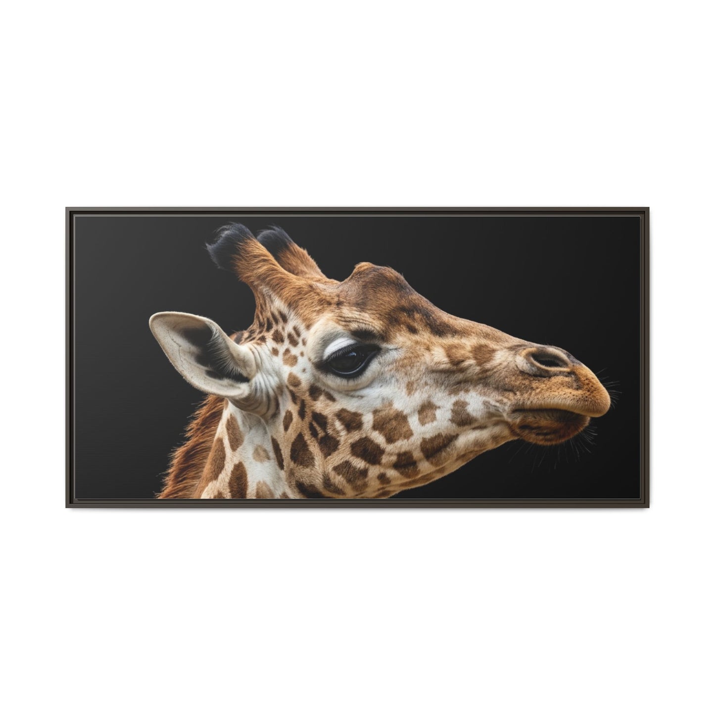 Framed Canvas Print — Giraffe In Colour