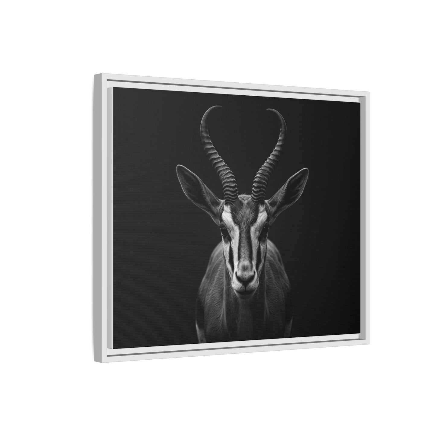 Framed Canvas Print — Springbok In Black