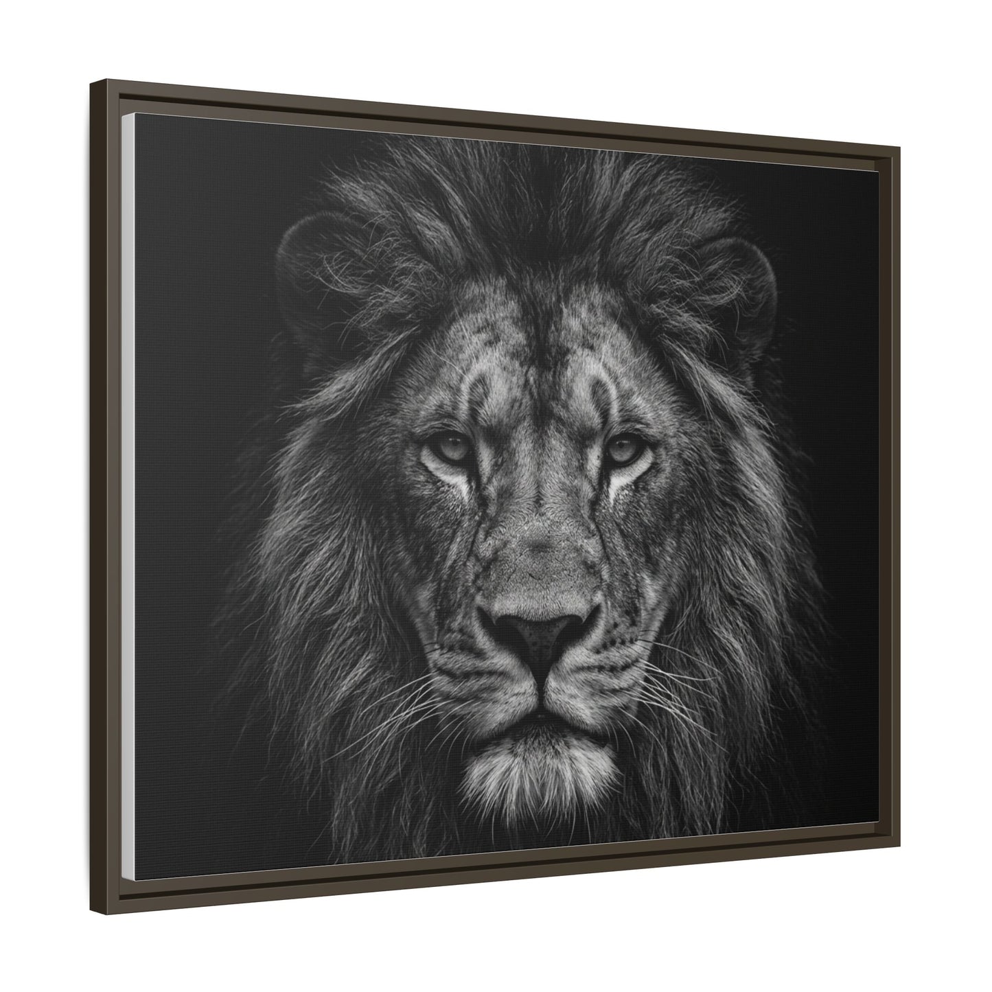 Framed Canvas Print — Lion In Black
