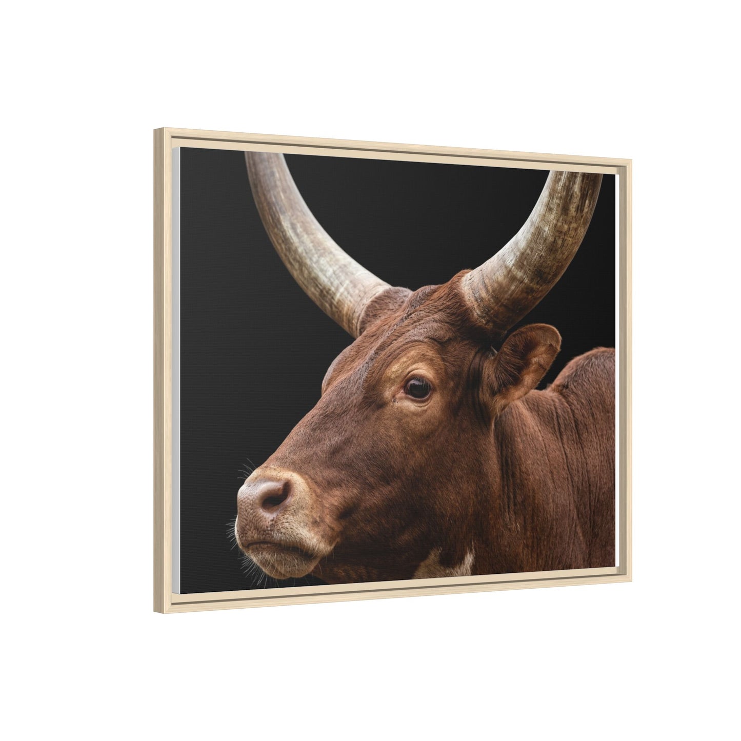 Framed Canvas Print — Ankole Cow In Colour