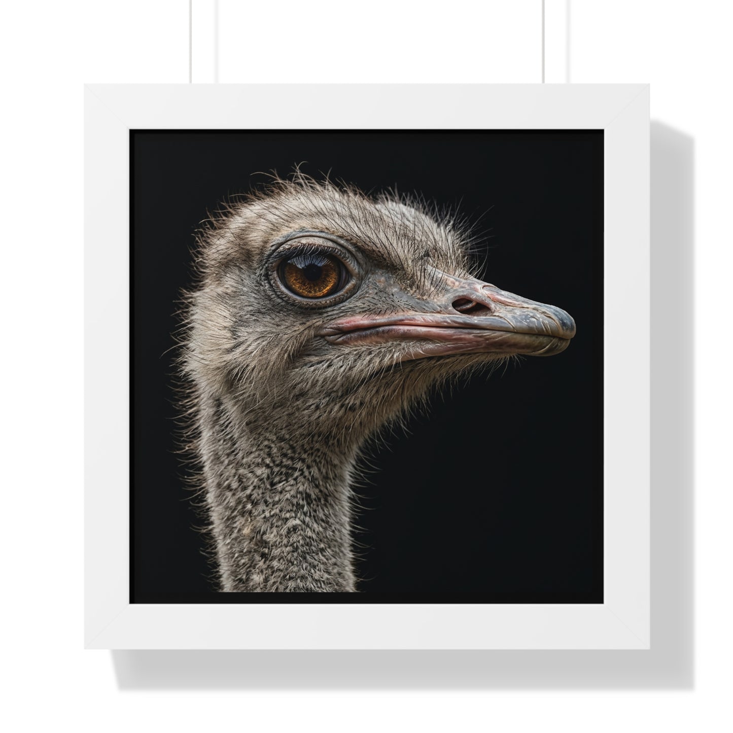 Framed Art Print – Ostrich In Colour