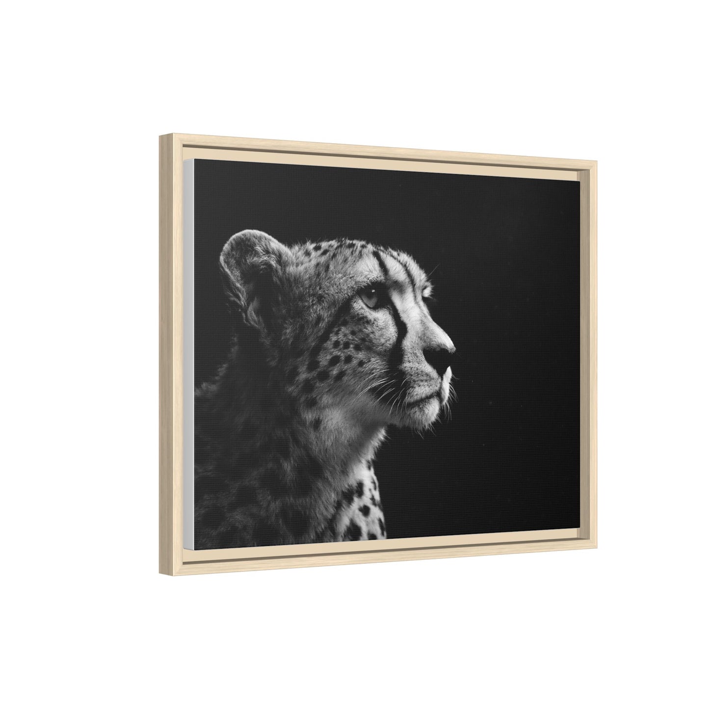 Framed Canvas Print — Cheetah Gaze