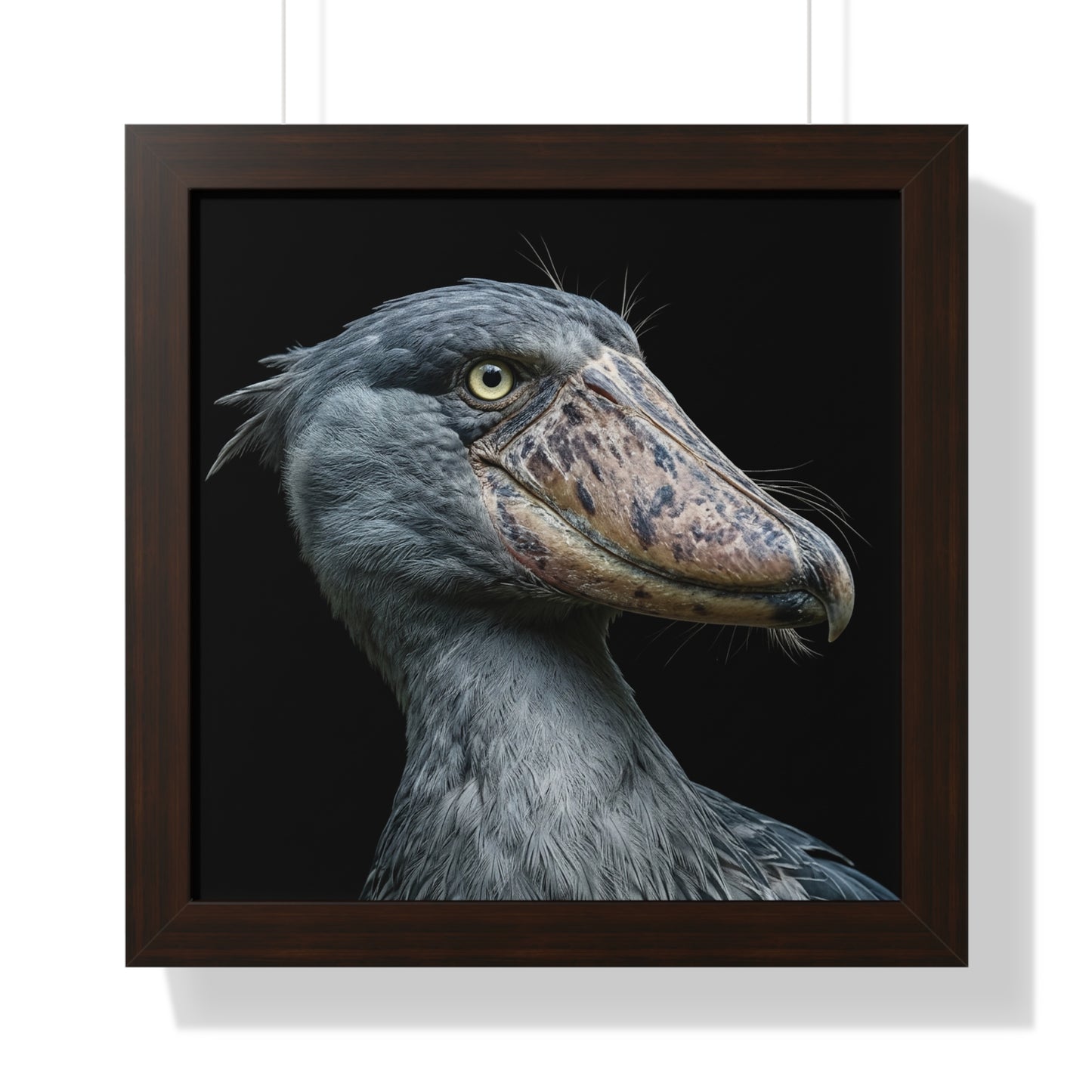 Framed Art Print – Shoebill Stork In Colour