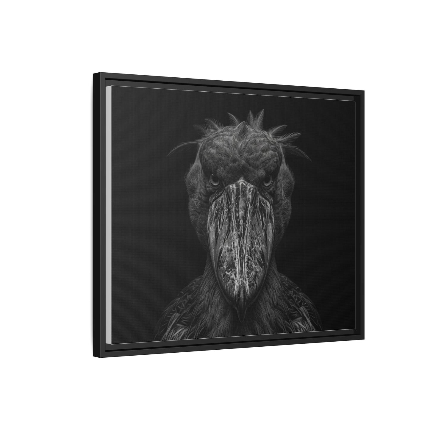 Framed Canvas Print — Shoebill Stock In Black