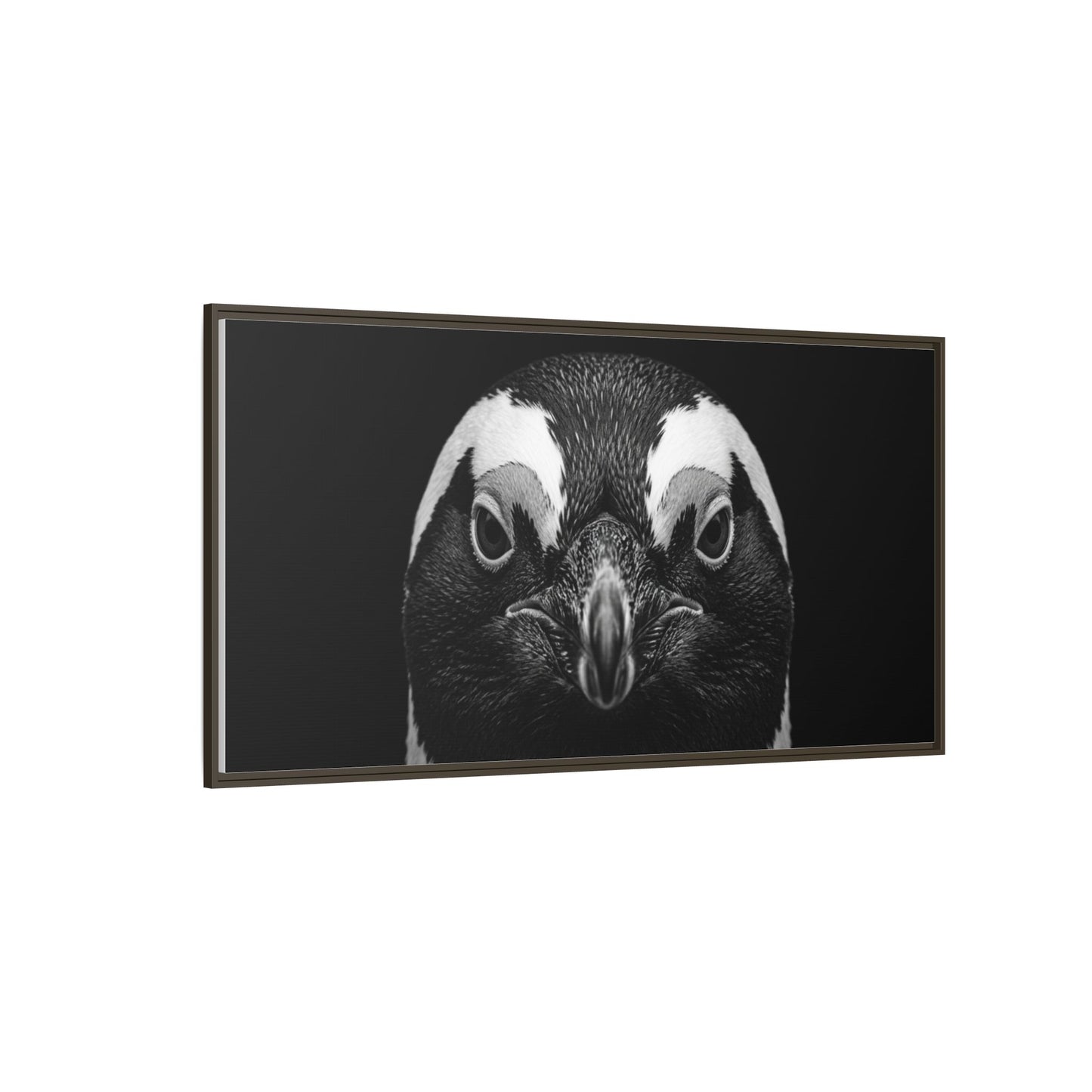 Framed Canvas Print — Afrikan Penguin In Black