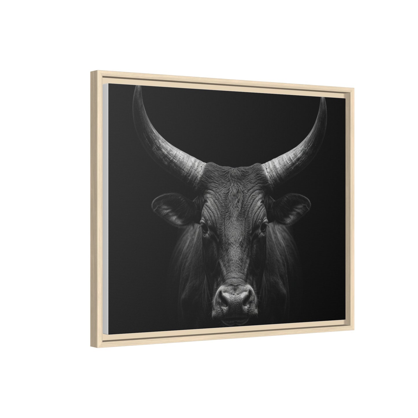 Framed Canvas Print — Ankole Cow In Black