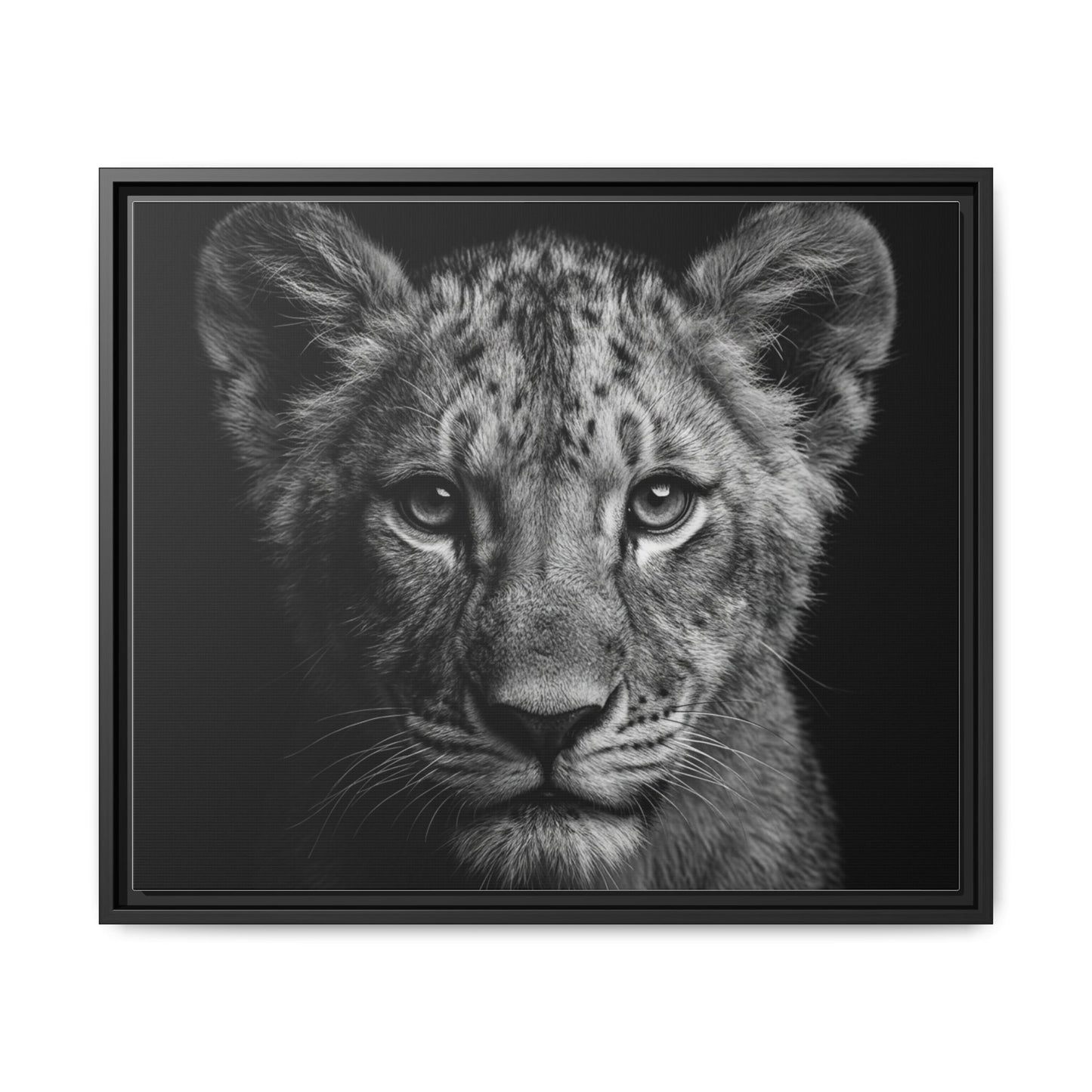 Framed Canvas Print — Lion Cub In Black