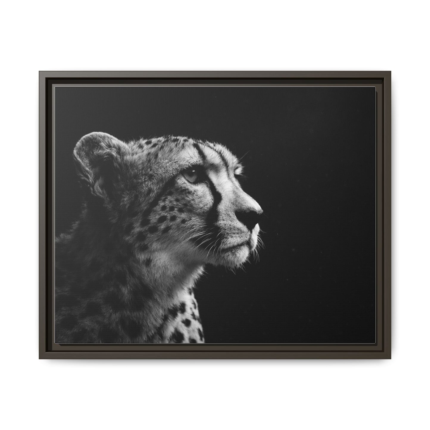 Framed Canvas Print — Cheetah Gaze