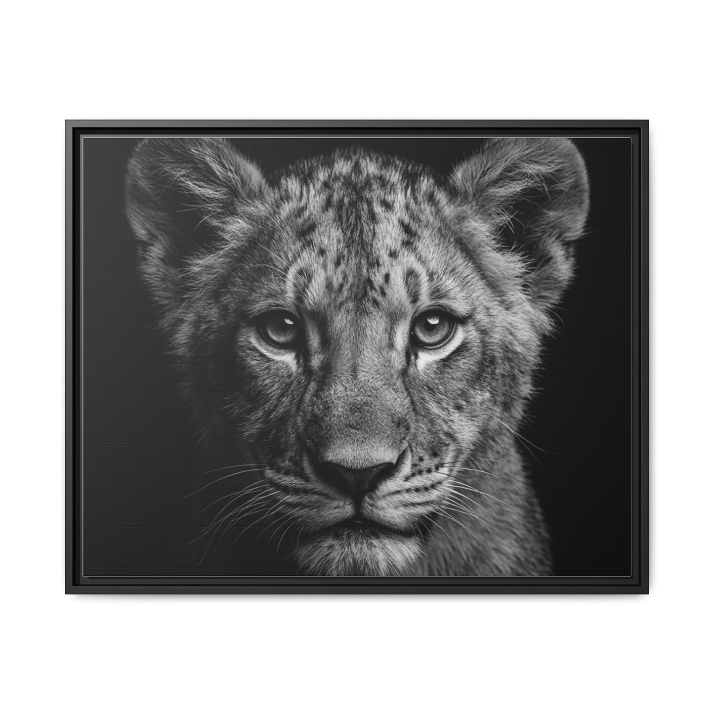 Framed Canvas Print — Lion Cub In Black