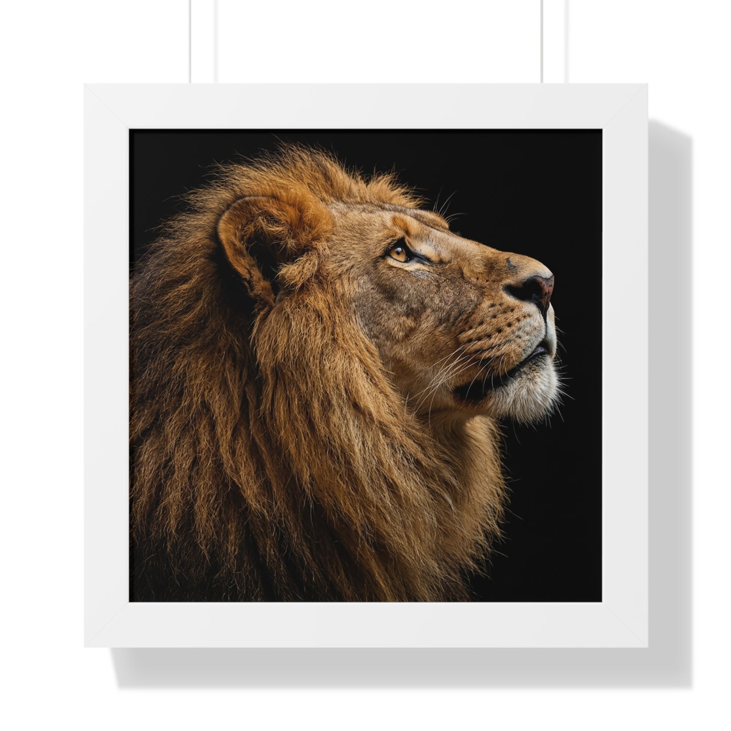 Framed Art Print – Lion In Colour