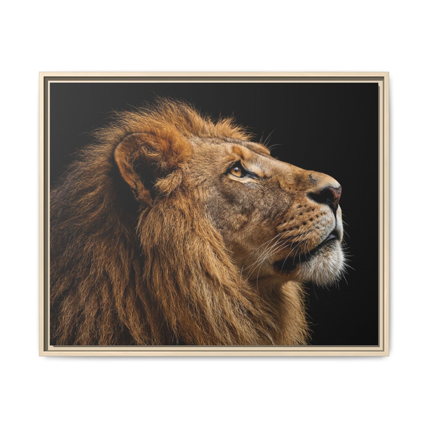 Framed Canvas Print — Lion In Colour