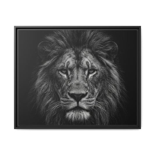 Framed Canvas Print — Lion In Black
