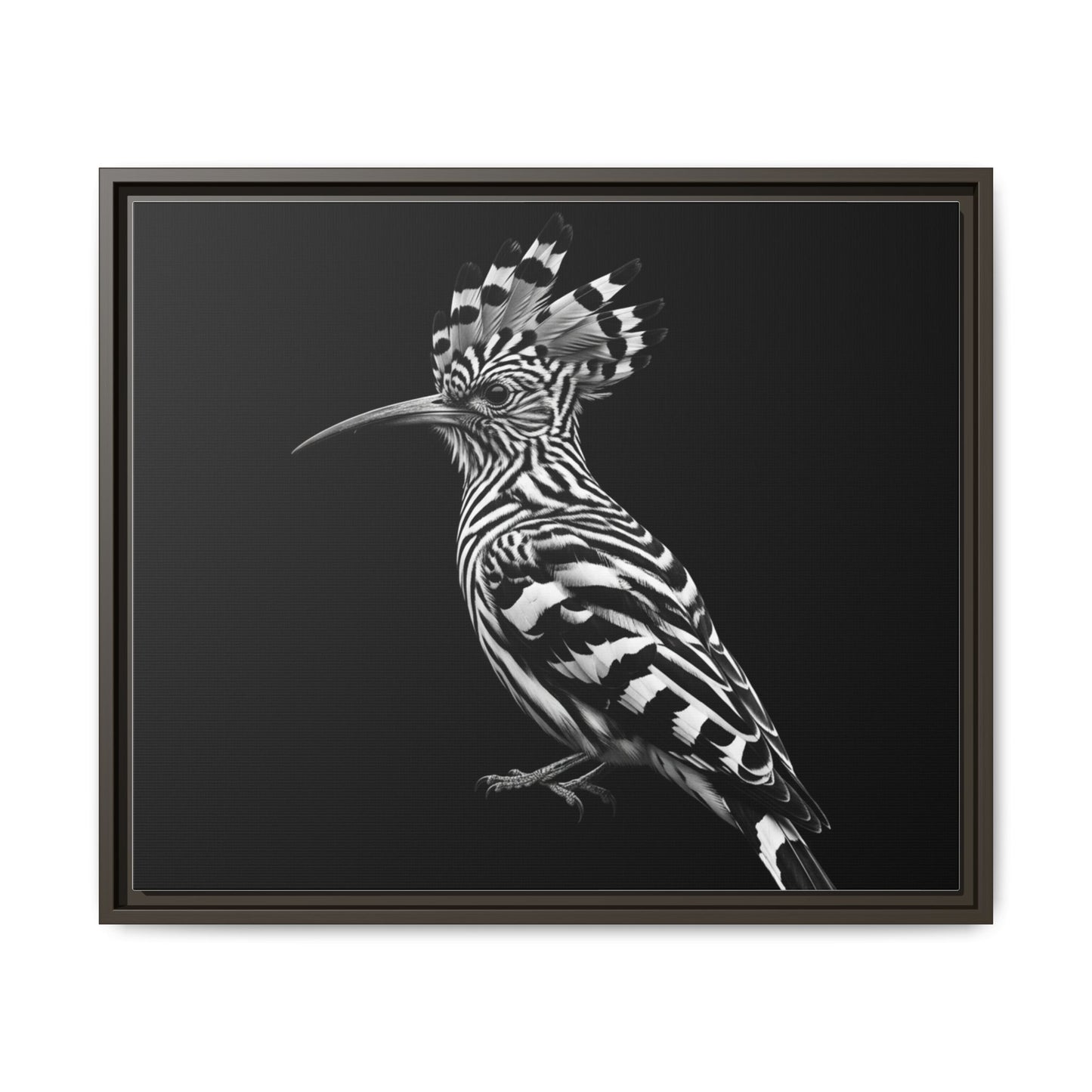 Framed Canvas Print — Afrikan Hoopoe In Black