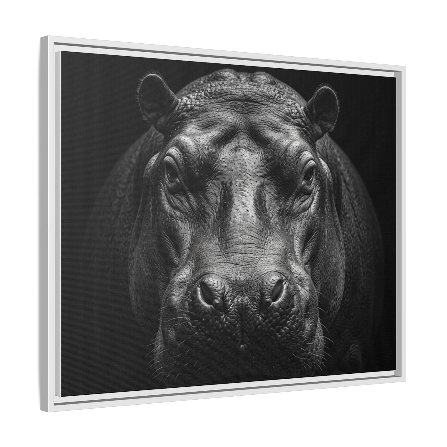 Framed Canvas Print — Hippopotamus In Black