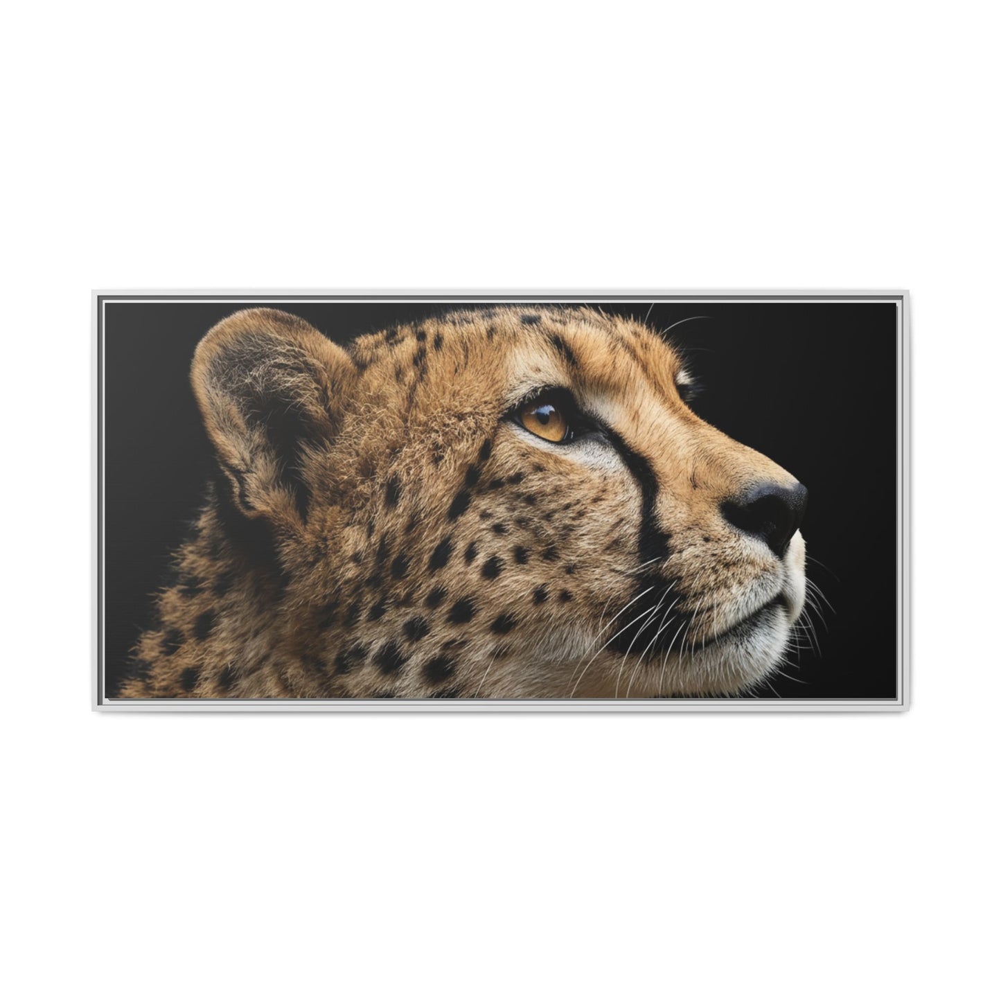 Framed Canvas Print — Cheetah In Colour