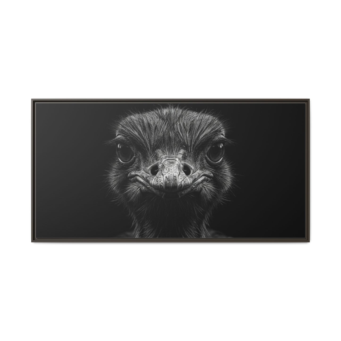Framed Canvas Print — Ostrich In Black