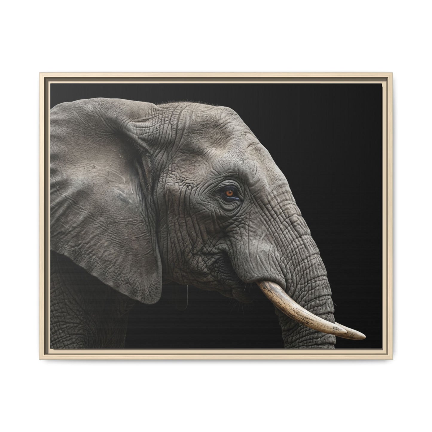 Framed Canvas Print — Elephant In Colour
