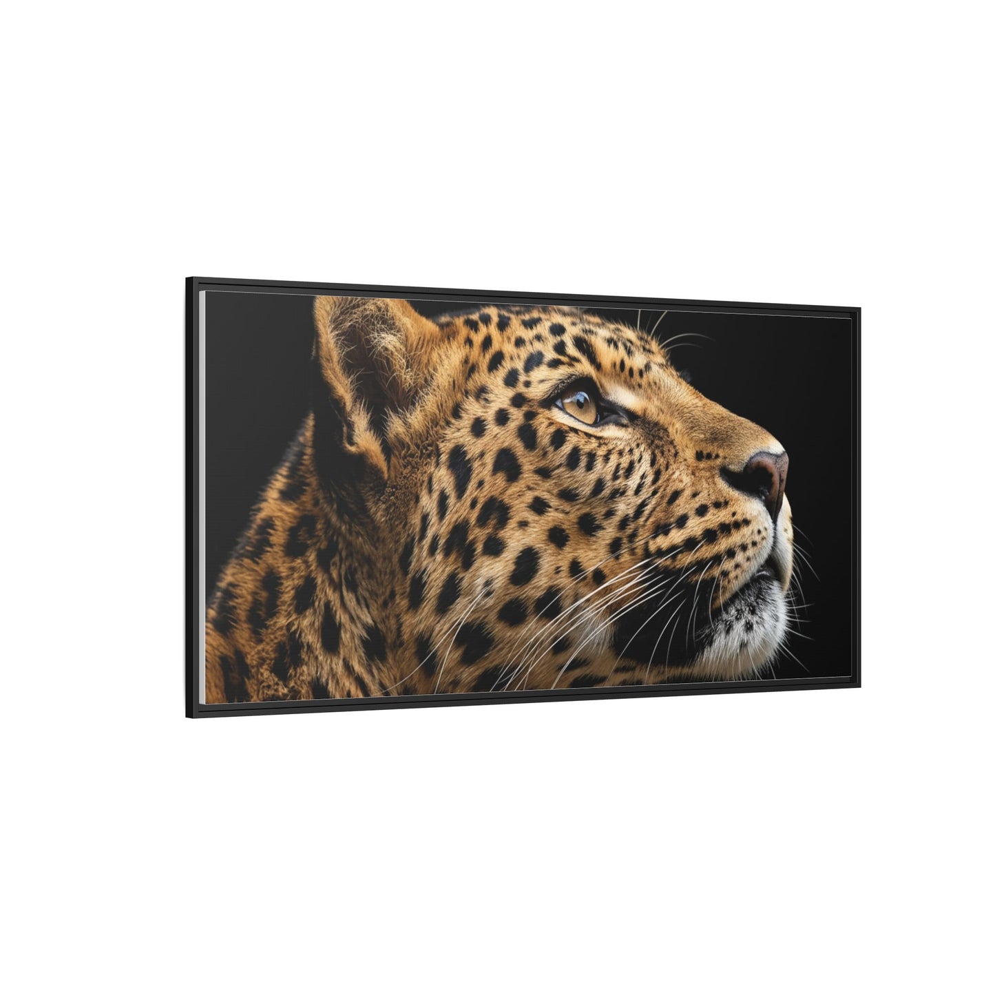Framed Canvas Print — Leopard In Colour