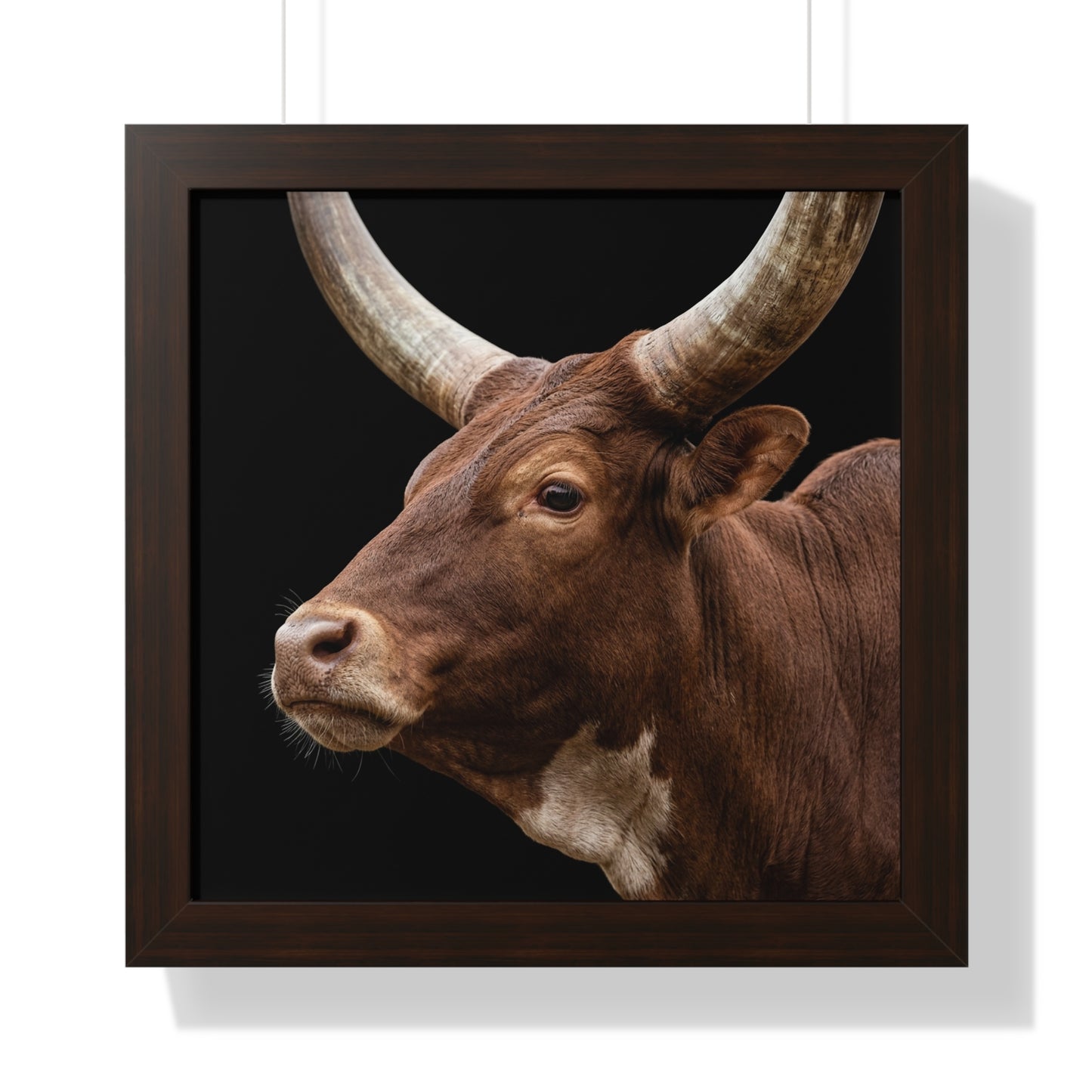 Framed Art Print – Ankole Cow In Colour