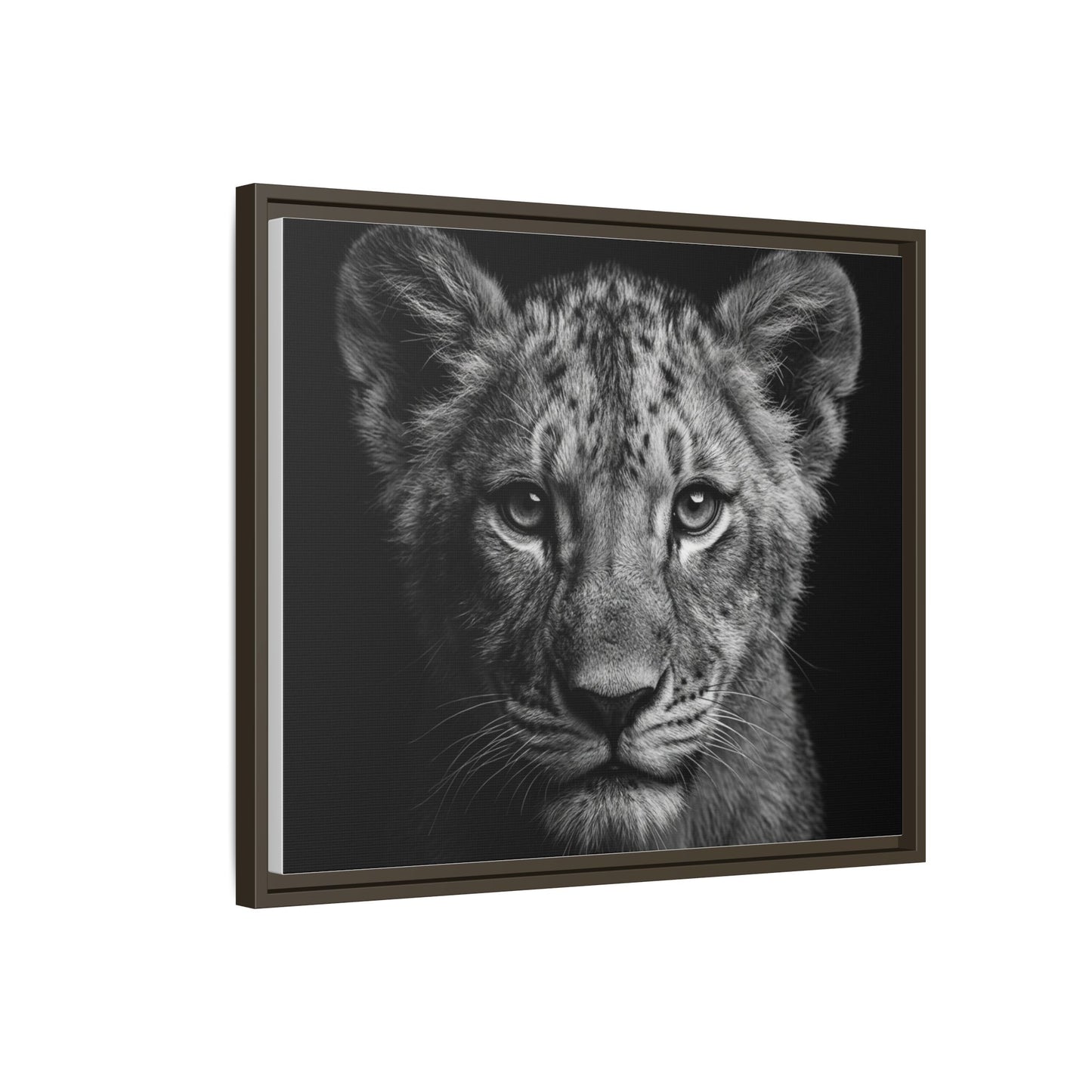 Framed Canvas Print — Lion Cub In Black