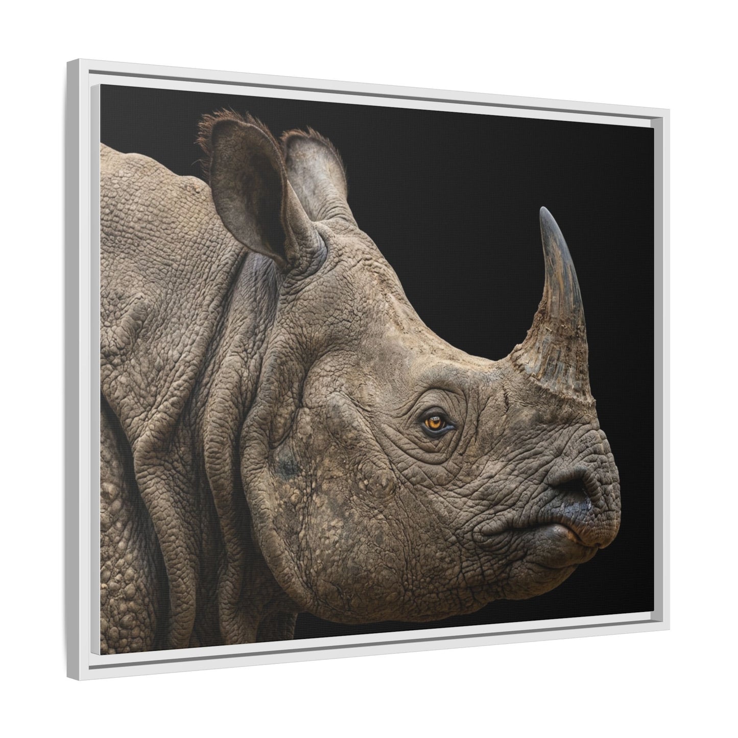 Framed Canvas Print — Rhinoceros In Colour